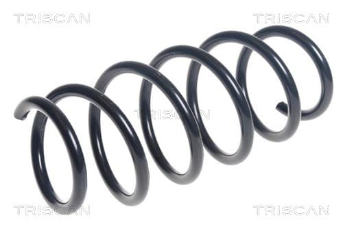 Spiralfjäder fram från TRISCAN