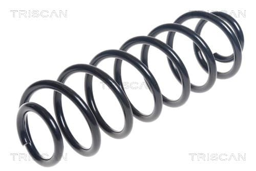 Spiralfjäder bak från TRISCAN