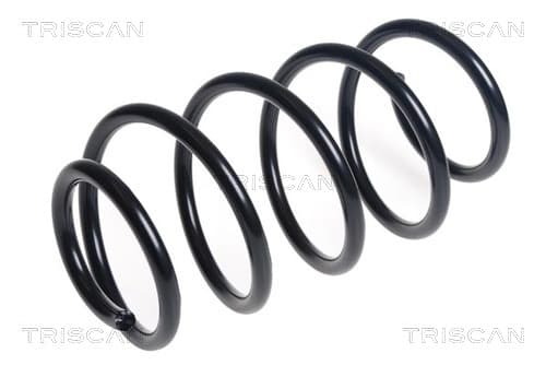 Spiralfjäder fram från TRISCAN