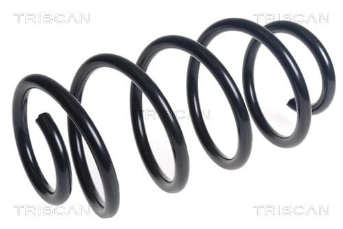 Spiralfjäder fram från TRISCAN