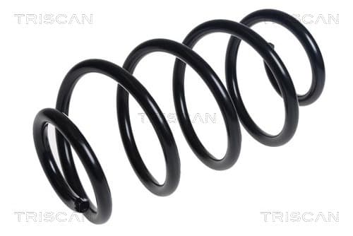 Spiralfjäder fram från TRISCAN