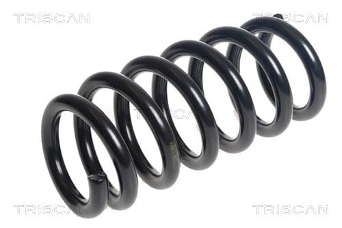 Spiralfjäder bak från TRISCAN