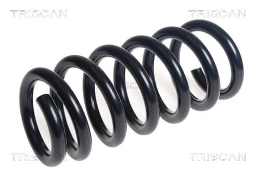 Spiralfjäder bak från TRISCAN