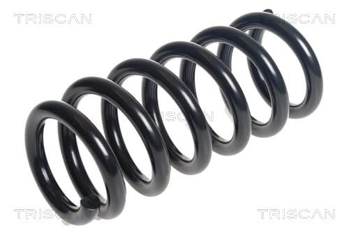 Spiralfjäder bak från TRISCAN