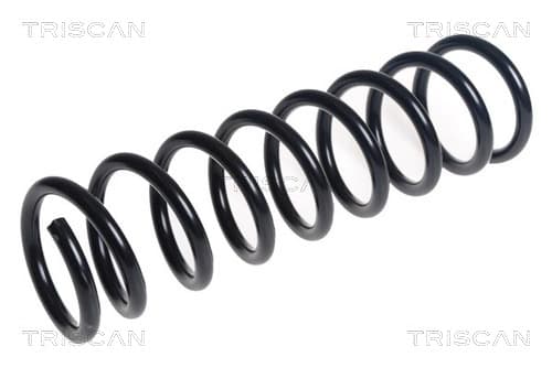 Spiralfjäder bak från TRISCAN
