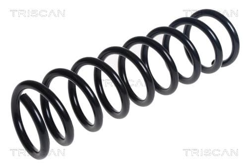 Spiralfjäder bak från TRISCAN