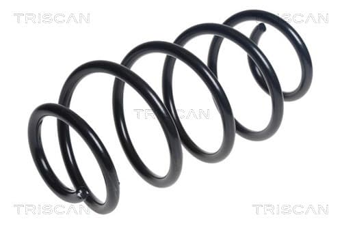 Spiralfjäder fram från TRISCAN