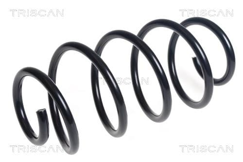 Spiralfjäder fram från TRISCAN