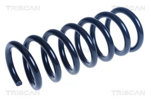 Spiralfjäder bak från TRISCAN