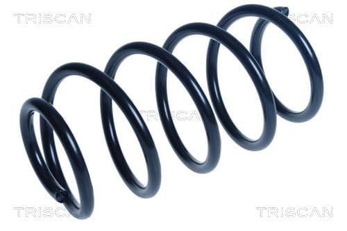 Spiralfjäder fram från TRISCAN