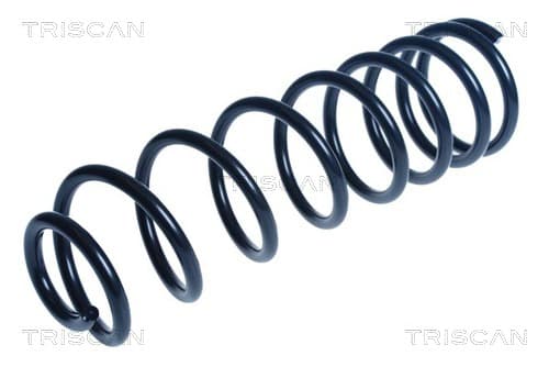 Spiralfjäder bak från TRISCAN