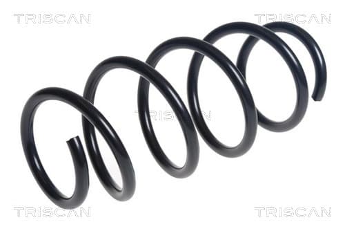 Spiralfjäder fram från TRISCAN