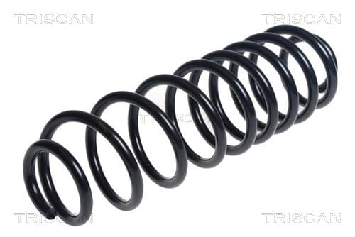 Spiralfjäder bak från TRISCAN
