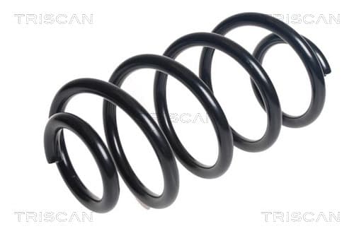 Spiralfjäder fram från TRISCAN