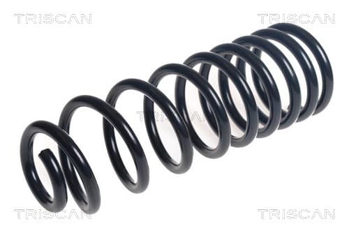 Spiralfjäder bak från TRISCAN