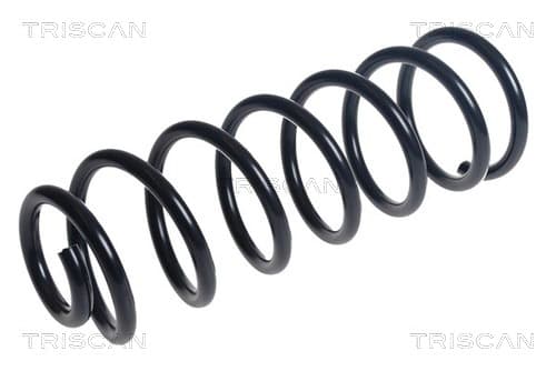 Spiralfjäder bak från TRISCAN