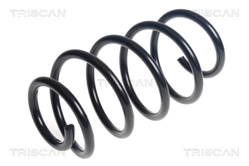 Spiralfjäder fram från TRISCAN