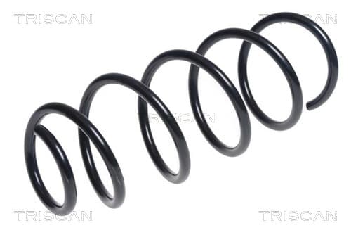 Spiralfjäder bak från TRISCAN