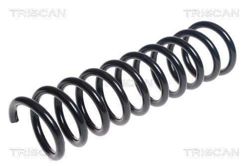 Spiralfjäder bak från TRISCAN