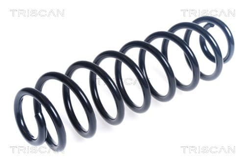 Spiralfjäder bak från TRISCAN