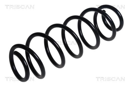 Spiralfjäder bak från TRISCAN