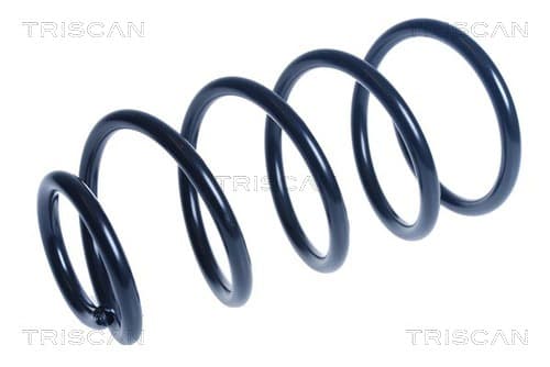 Spiralfjäder fram från TRISCAN