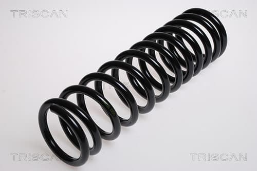 Spiralfjäder bak från TRISCAN