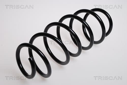 Spiralfjäder bak från TRISCAN