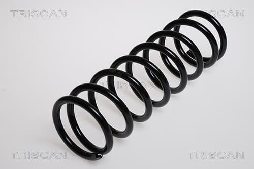 Spiralfjäder bak från TRISCAN