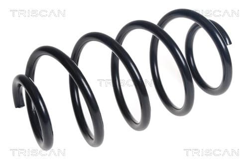 Spiralfjäder fram från TRISCAN