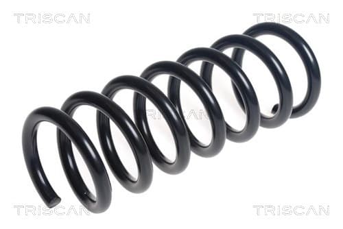 Spiralfjäder bak från TRISCAN