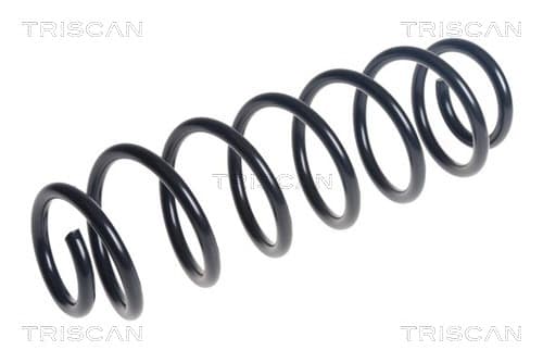 Spiralfjäder bak från TRISCAN
