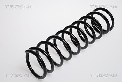 Spiralfjäder bak från TRISCAN