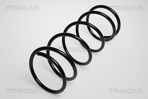 Spiralfjäder fram från TRISCAN