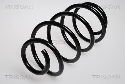 Spiralfjäder fram från TRISCAN