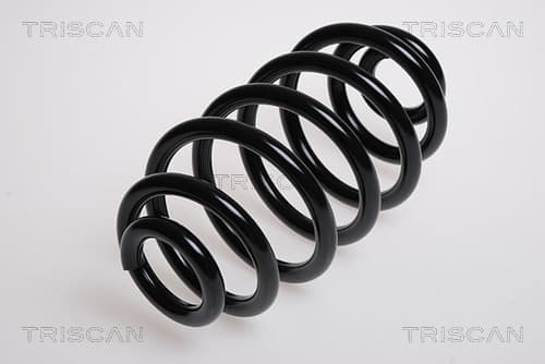 Spiralfjäder bak från TRISCAN