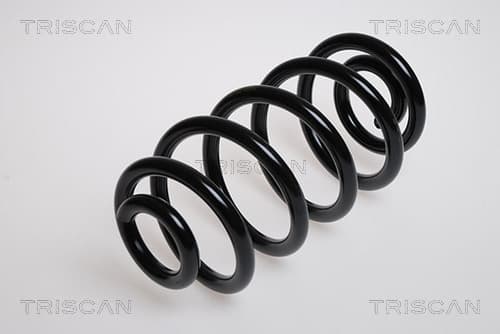 Spiralfjäder bak från TRISCAN