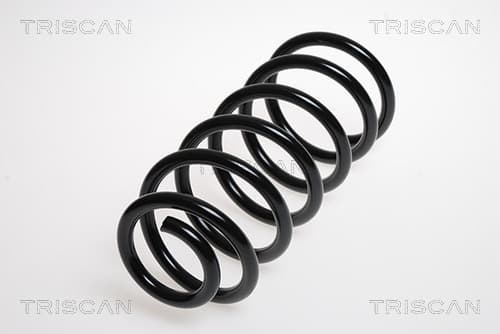 Spiralfjäder bak från TRISCAN