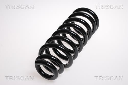 Spiralfjäder fram från TRISCAN