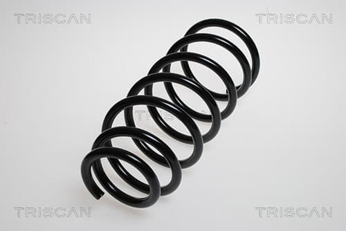 Spiralfjäder bak från TRISCAN