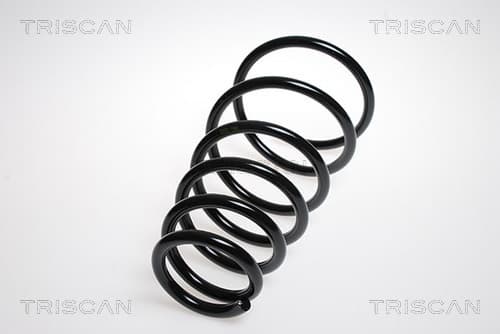 Spiralfjäder bak från TRISCAN