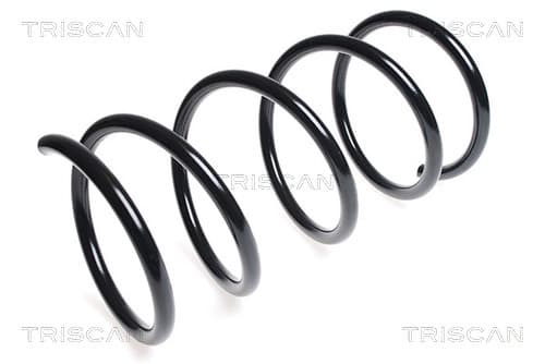 Spiralfjäder fram från TRISCAN