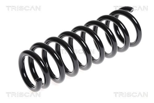 Spiralfjäder bak från TRISCAN