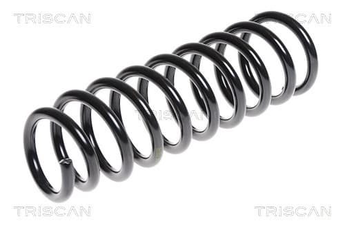 Spiralfjäder bak från TRISCAN