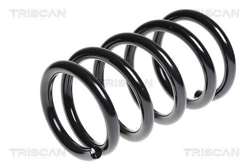 Spiralfjäder bak från TRISCAN