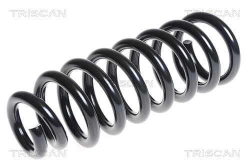 Spiralfjäder fram från TRISCAN