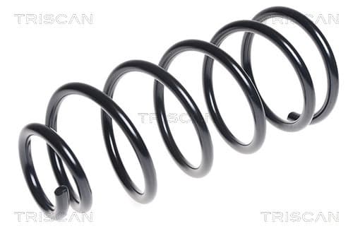 Spiralfjäder bak från TRISCAN