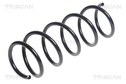 Spiralfjäder fram från TRISCAN