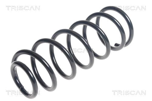 Spiralfjäder bak från TRISCAN