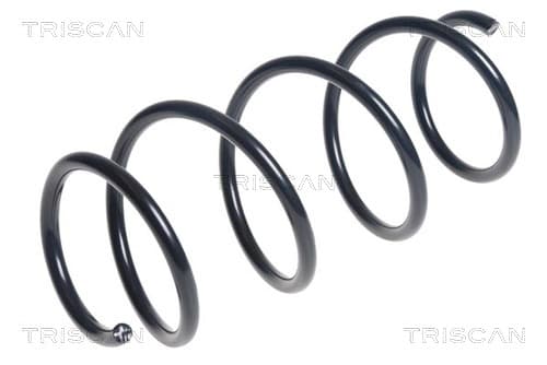 Spiralfjäder fram från TRISCAN